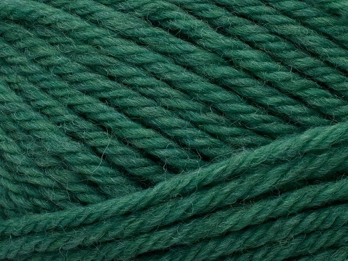 Peruvian Highland Wool Fv. 834 Emerald