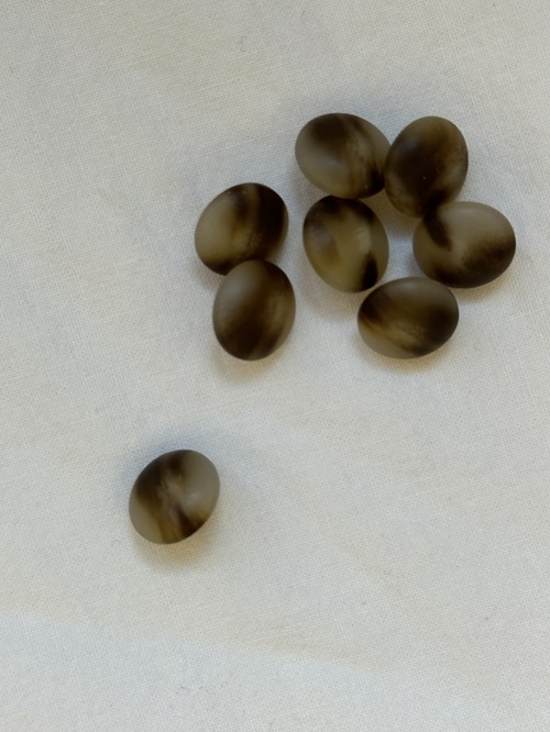 Knap med øje - hornlook-Lys-11 mm