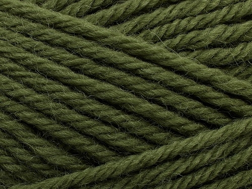 Peruvian Highland Wool Fv. 221 Thyme